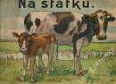 Obálka